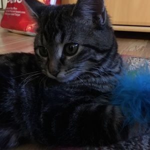 Meet your Posher, Misia